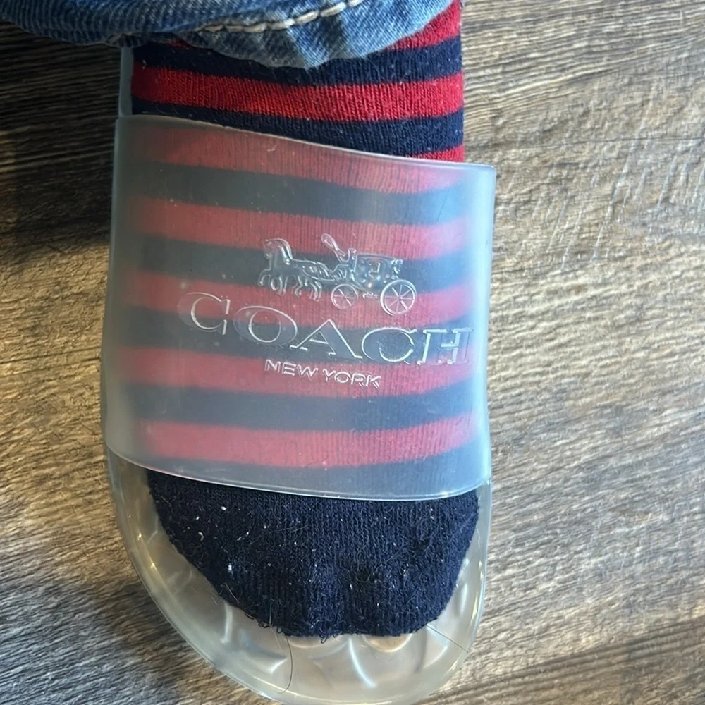 Coach size clear slides